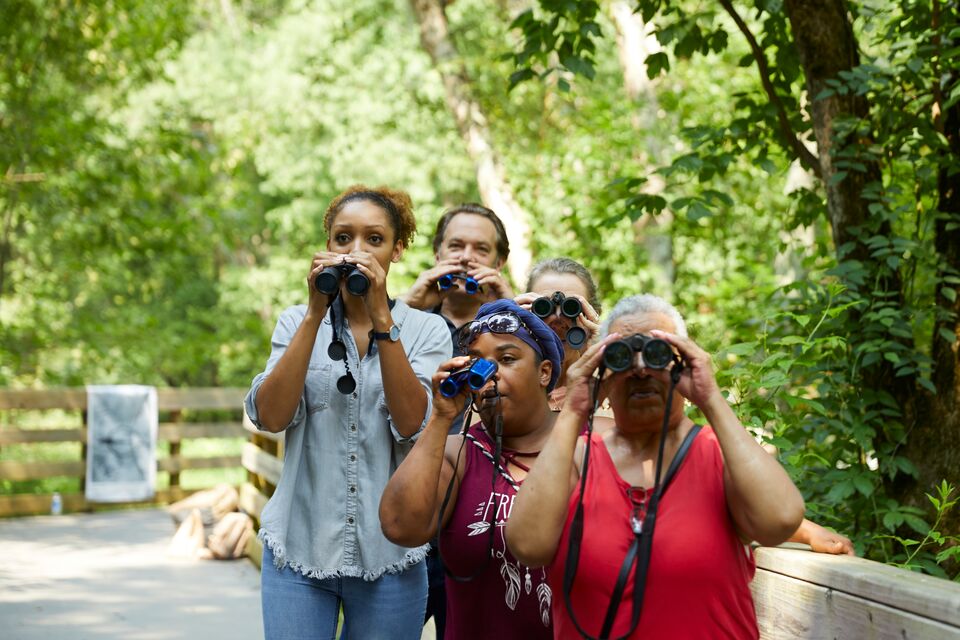 A landscape orientation of Corina Newsome and four other adults using binoculars to view birds