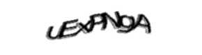 Security check image, please type the characters shown
