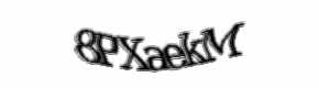 Security check image, please type the characters shown
