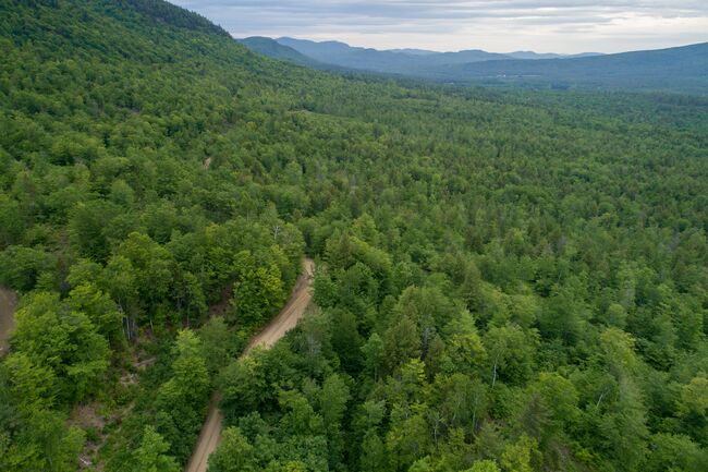 Morning clouds over a working forest in Bethel, Maine.