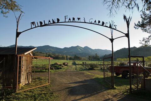 Early morning at the Midland School Farm and Gardens gate