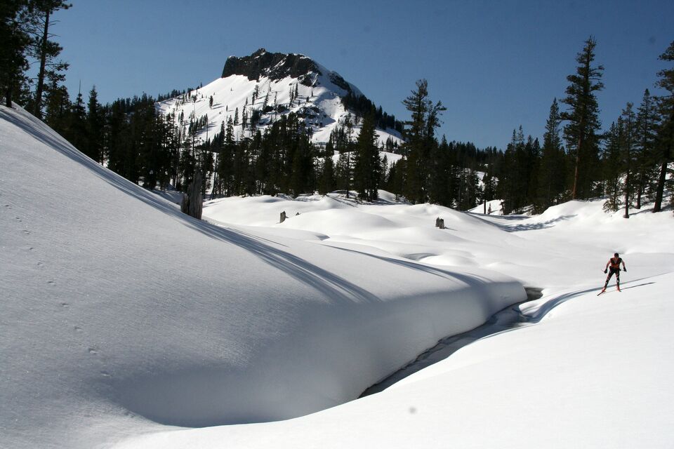 A cross-country skier enjoys a sunny day at Royal Gorge Cross Country Ski Resort on Donner Summit near Lake Tahoe, CA.